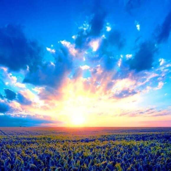 Meet your Posher, Melita - Picture 1 of 1